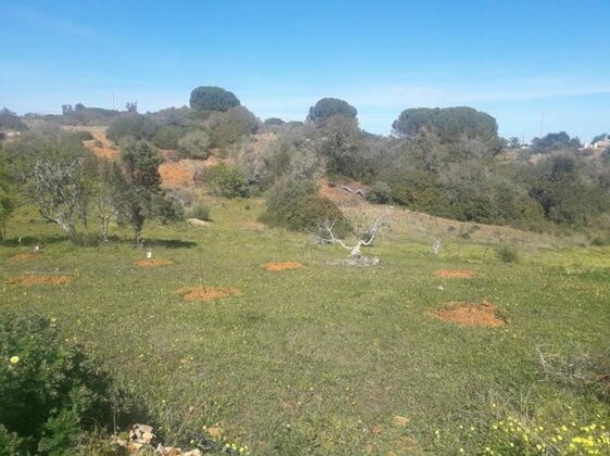 Quinta da Jolanda-Happy Family Farm - Photo3