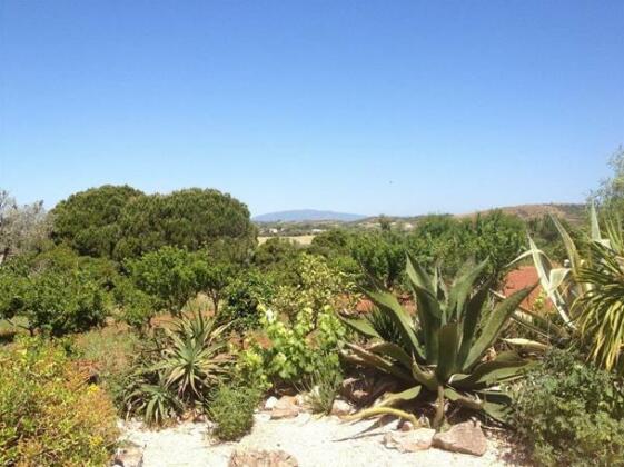 Quinta De Nora - Photo5