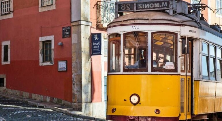 Comfort and Trendy Lisbon