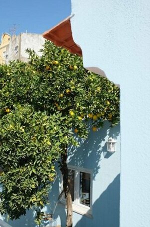 Proa d'Alfama Guest House