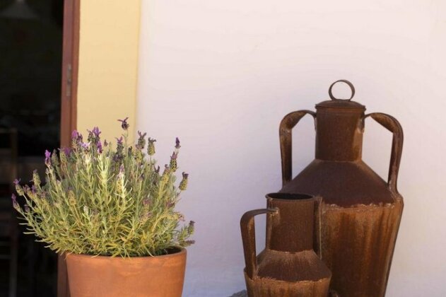 B&B Candelaria - Photo3
