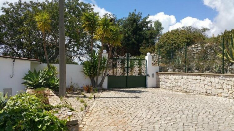 Quinta da Violeta - Photo2
