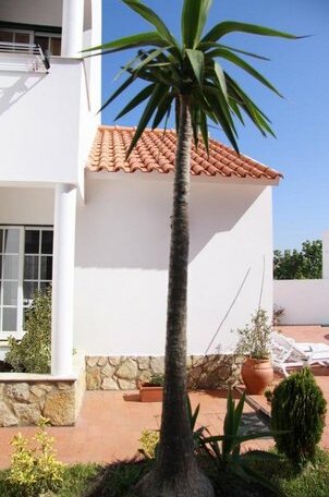Casa Figueira - Photo2