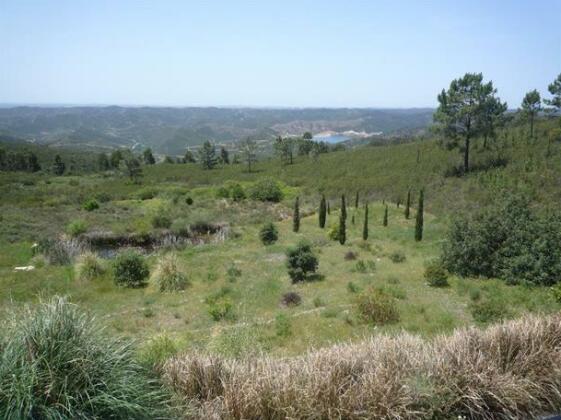 Covao Largo - Photo3