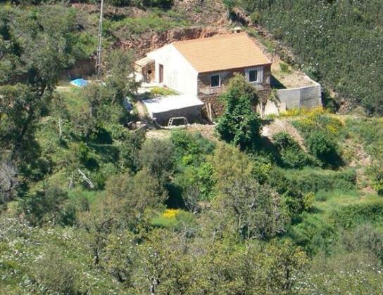Terra do Milho - Photo5