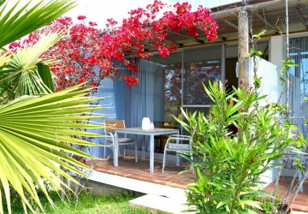 Quinta Luz do Sol - Photo2