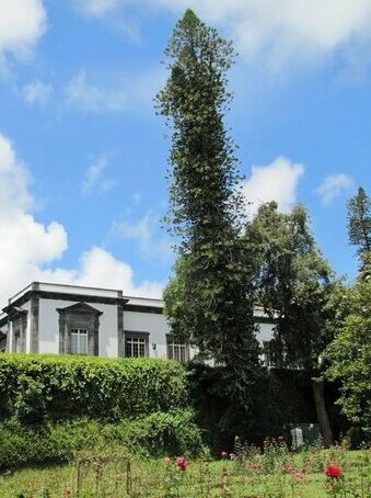 Casa Do Jardim Ponta Delgada Sao Miguel Island