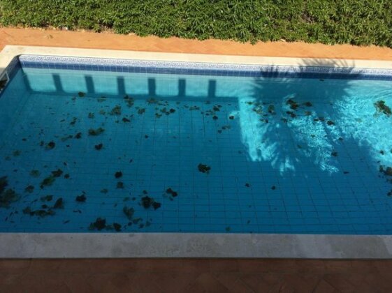 Luxury Villa with a Pool - Photo5