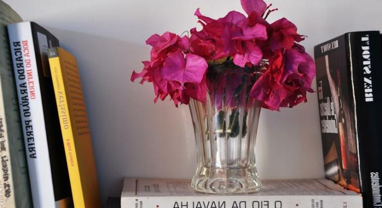 Villa Joaninha - Photo5