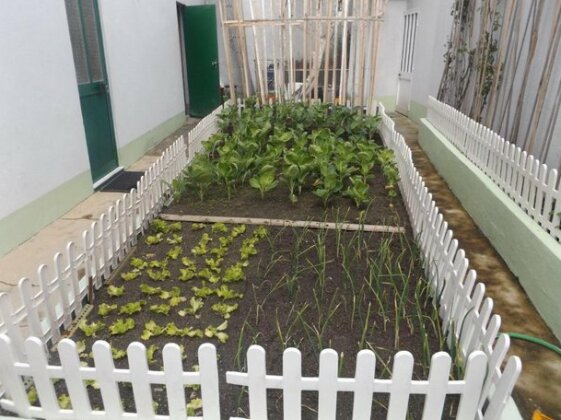 Casa do Largo House - Photo4