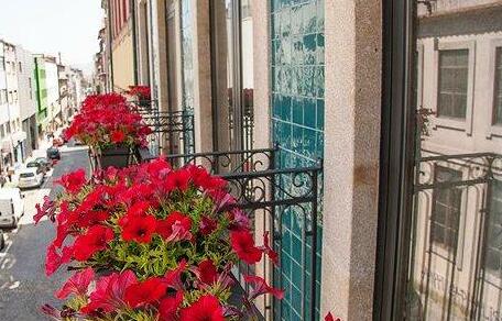 Pleasant Porto - Photo4