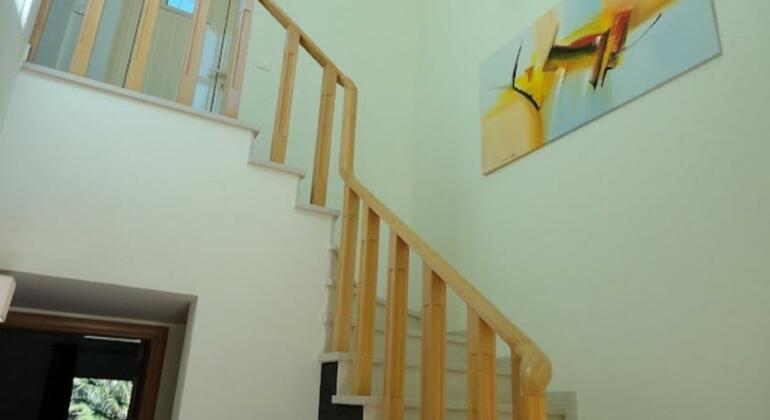 Casa das Oliveiras 13 - Photo5