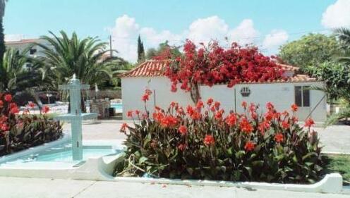 Vila Belinha - Photo3