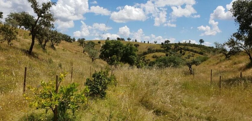 Monte Anna - Photo3