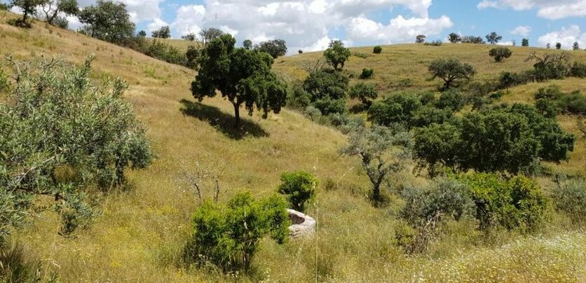 Monte Anna - Photo5
