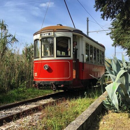 Vila Vitorino - Photo2