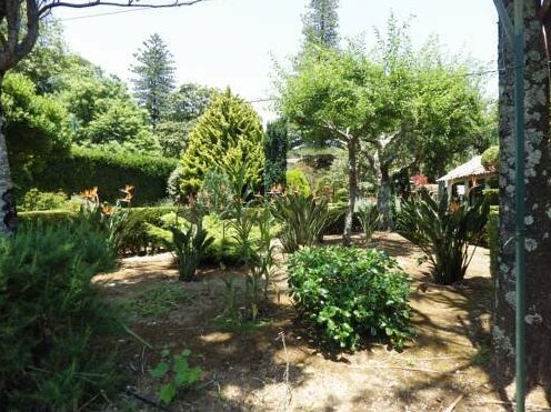 Villa Sao Pedro - Photo5