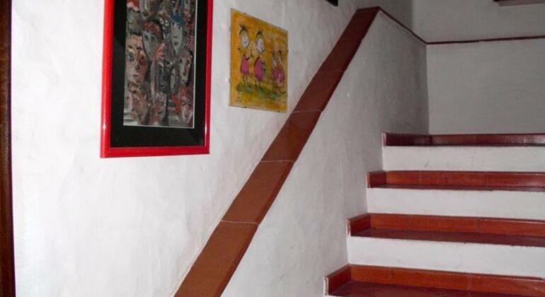 Casa do Rio / Tavira Inn - Adults Only - Photo3