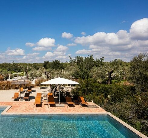 Fazenda Nova Country House - Photo2