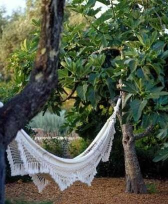 Quinta da Lua - Photo4