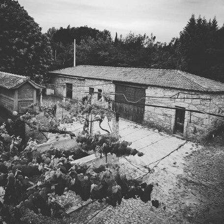 Quinta Calheiros - Rural Place - Photo3