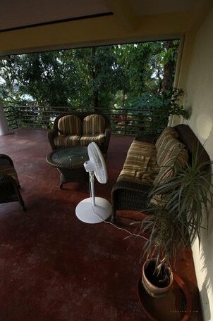 Ms Pinetrees Hostel - Photo4
