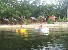 Dolphin Bay Resort & Peleliu Divers - Photo2