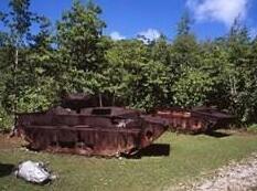 Dolphin Bay Resort & Peleliu Divers - Photo3