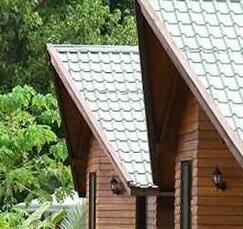 Dolphin Bay Resort & Peleliu Divers