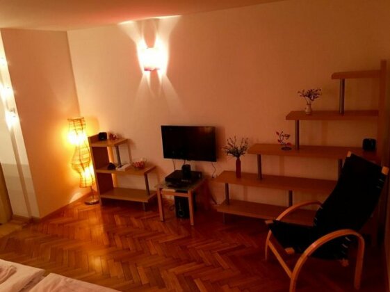 Apartment Catalin Arad - Photo3