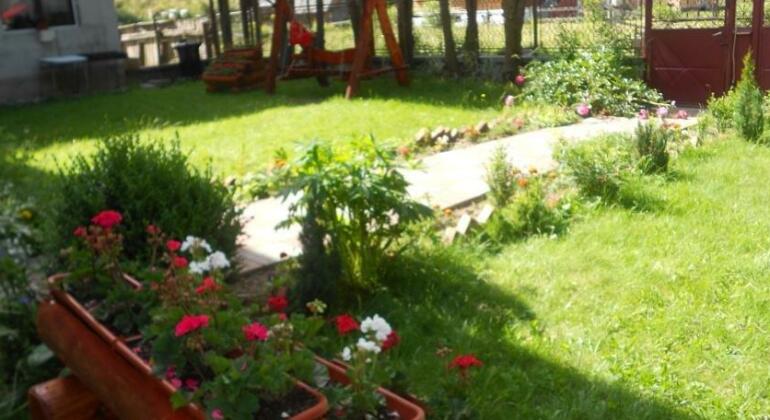 Casa ALINA Arieseni - Photo5