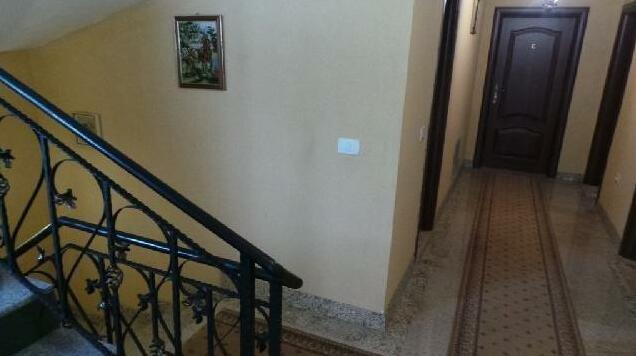 Casa De Vis Arieseni - Photo2
