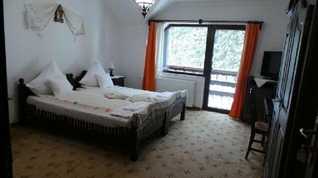 Casa De Vis Arieseni - Photo4