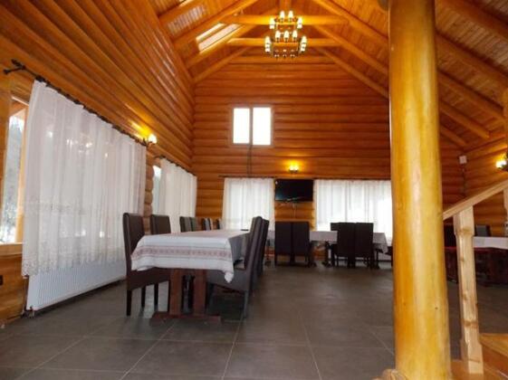 Pensiunea Izbucul Tauz - Photo4