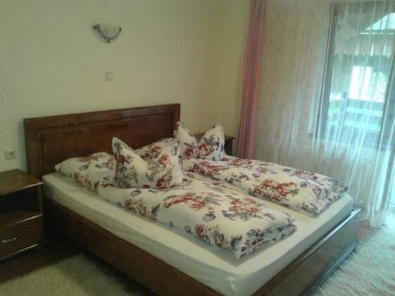 Pensiunea Sofy - Photo2