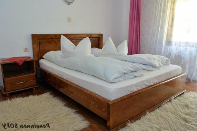 Pensiunea Sofy - Photo4