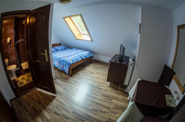 Pensiunea Viorica Arieseni - Photo4
