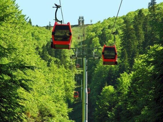 Azuga Ski & Bike Resort - Photo2