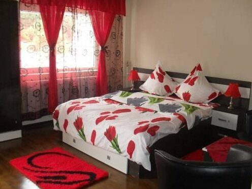 Garsoniera Lorelai - Photo3