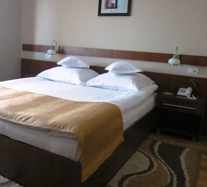 Hotel Crisana - Photo4