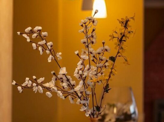 Hotel Termal Baile Felix - Photo4