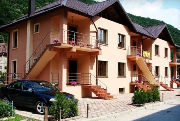 Pension Camelia - Photo2