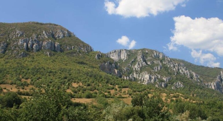 Pensiune Safrane - Photo4