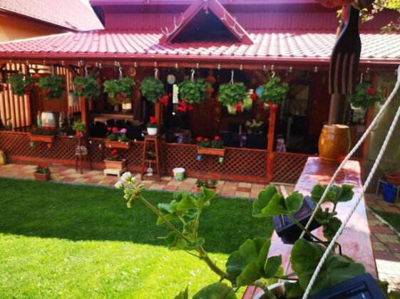 Pensiunea Casa Harpes - Photo4