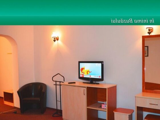 Pensiunea Casa Matei - Photo5