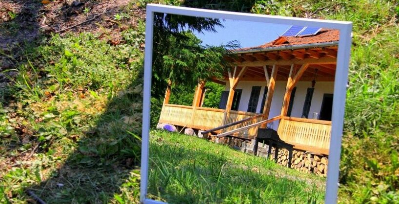 Dobrica Hunting Lodge - Photo2