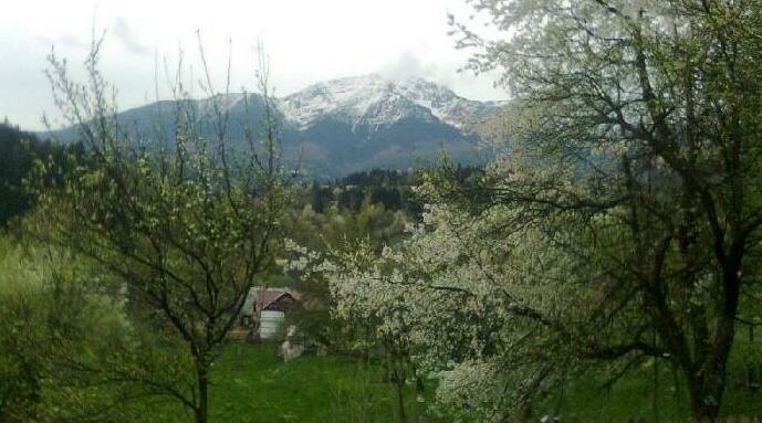 Coasta cu Izvoare - Photo5