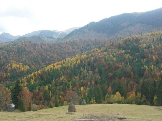 Hanul Prislop - Photo5