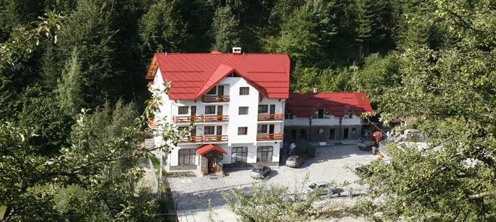 Hotel Paltinis - Photo2