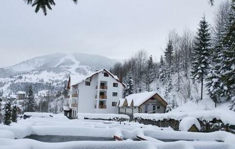 Hotel Paltinis - Photo3